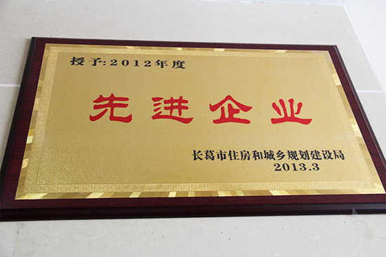 2012年度先进企业.JPG