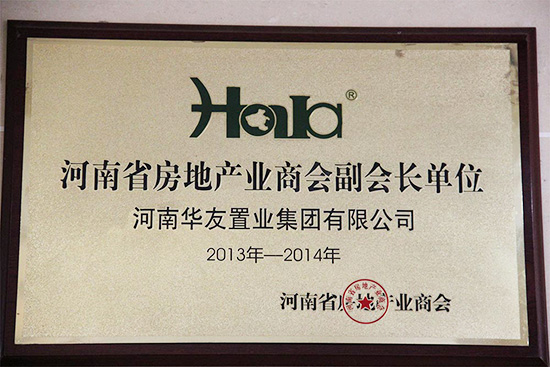 河南省房地产商会副会长单位.JPG